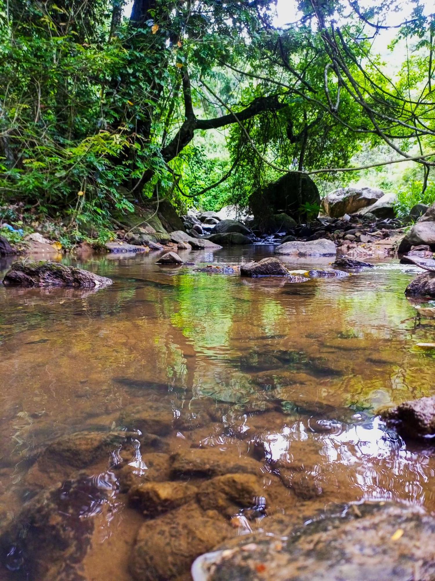 Creek Downhills Bed and Breakfast Ella Εξωτερικό φωτογραφία