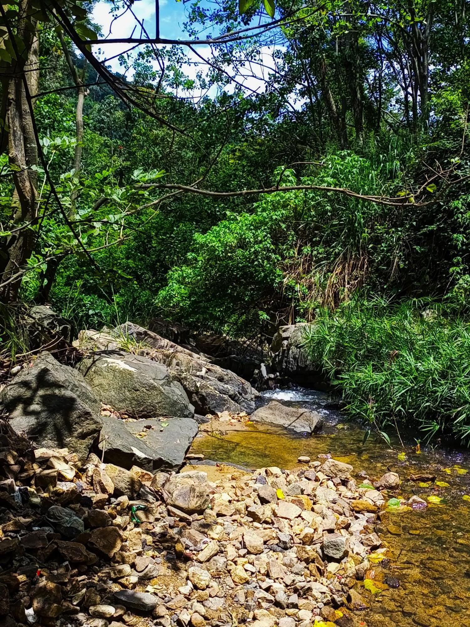 Creek Downhills Bed and Breakfast Ella Εξωτερικό φωτογραφία