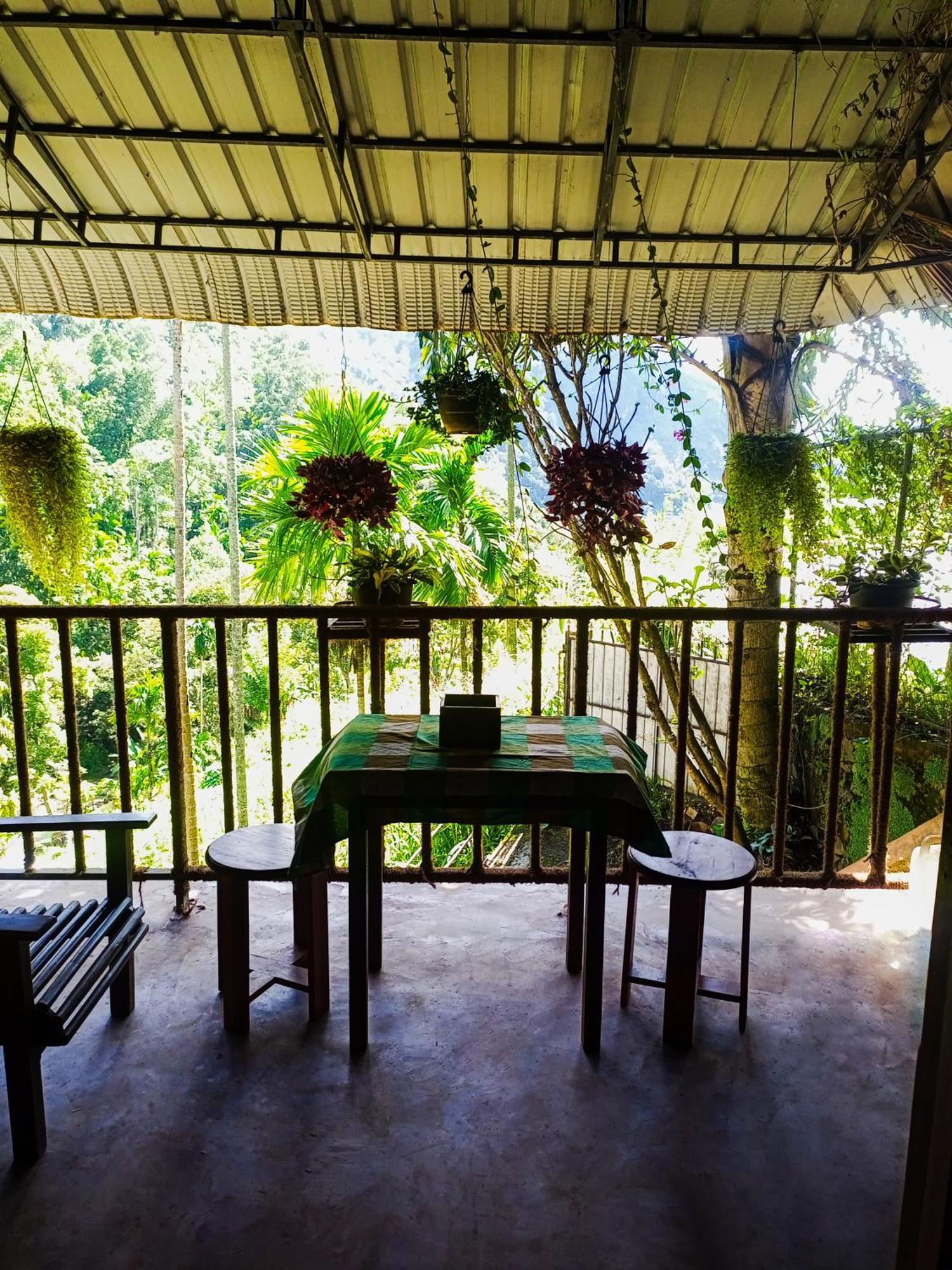Creek Downhills Bed and Breakfast Ella Εξωτερικό φωτογραφία