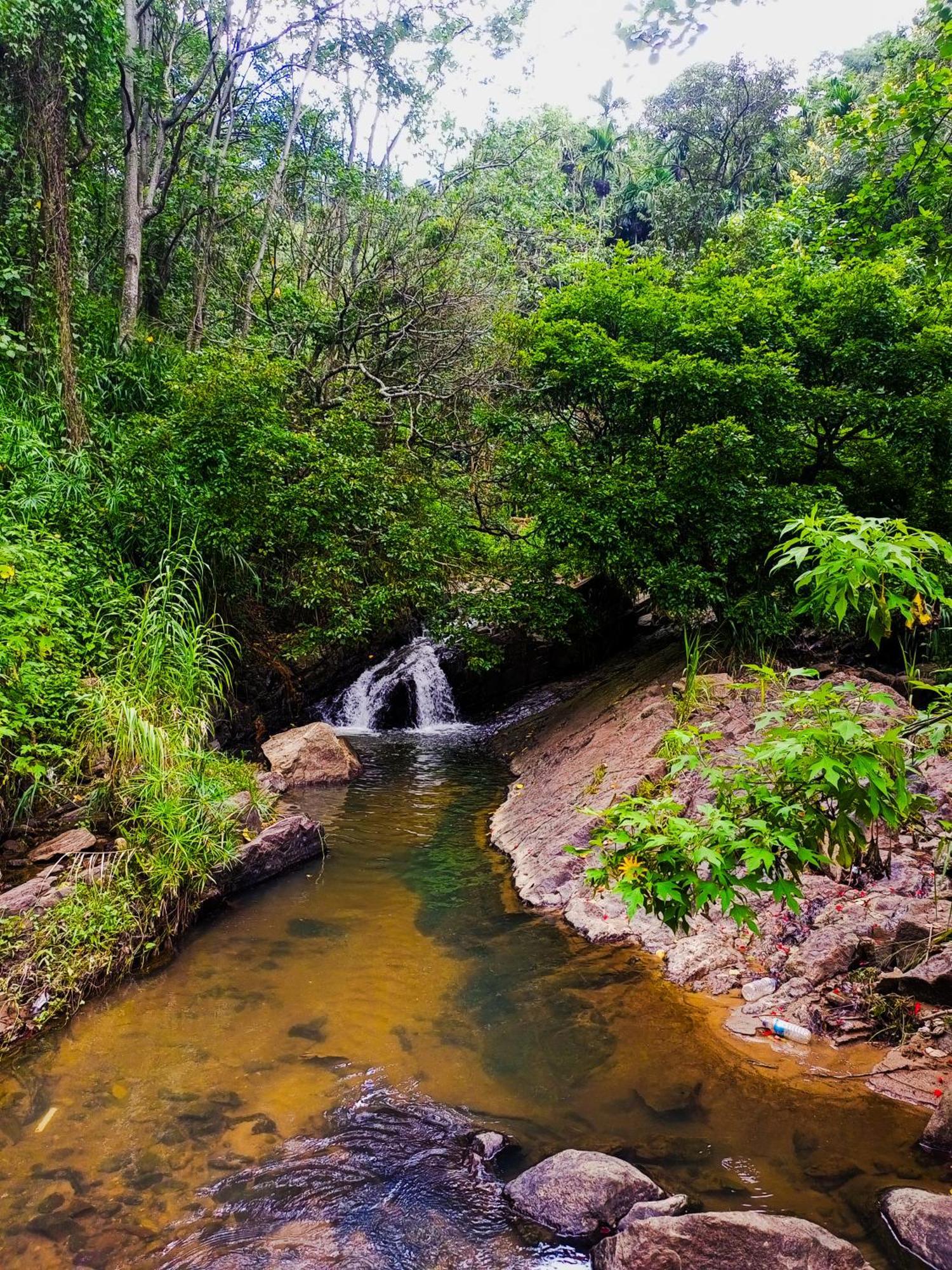 Creek Downhills Bed and Breakfast Ella Εξωτερικό φωτογραφία