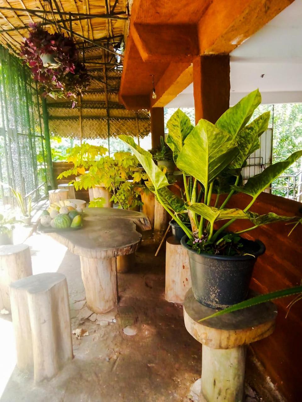 Creek Downhills Bed and Breakfast Ella Εξωτερικό φωτογραφία