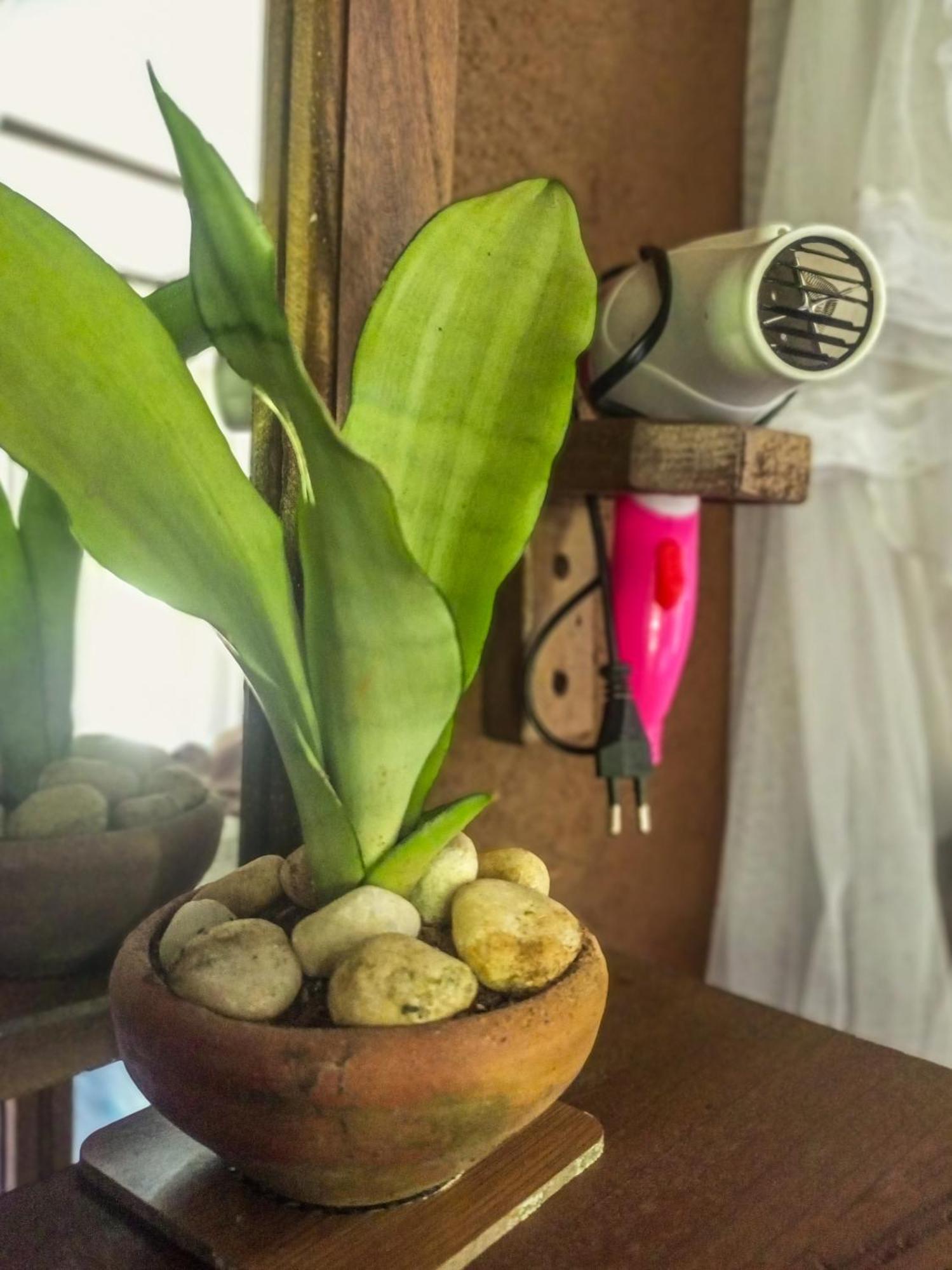 Creek Downhills Bed and Breakfast Ella Εξωτερικό φωτογραφία