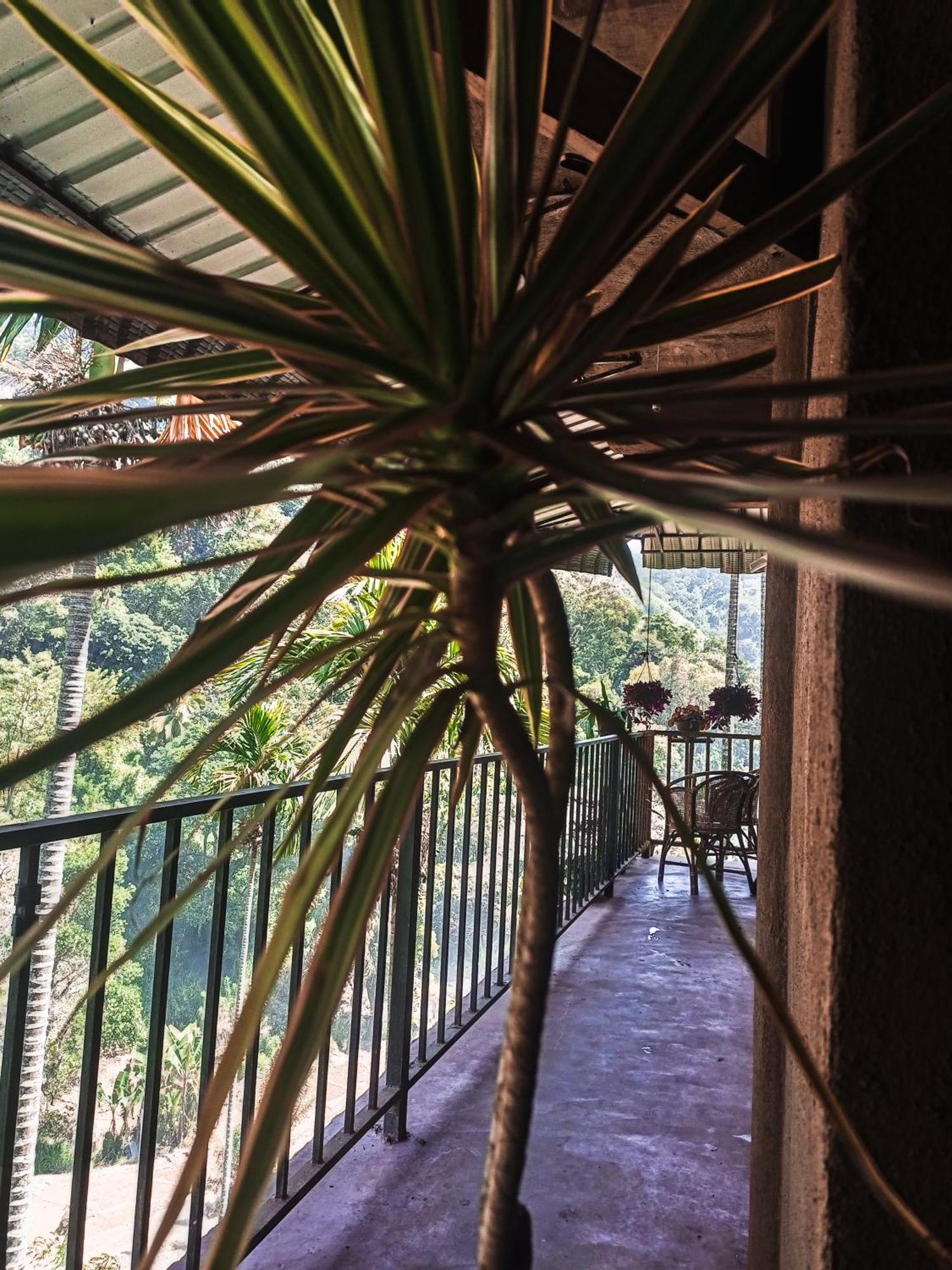 Creek Downhills Bed and Breakfast Ella Εξωτερικό φωτογραφία