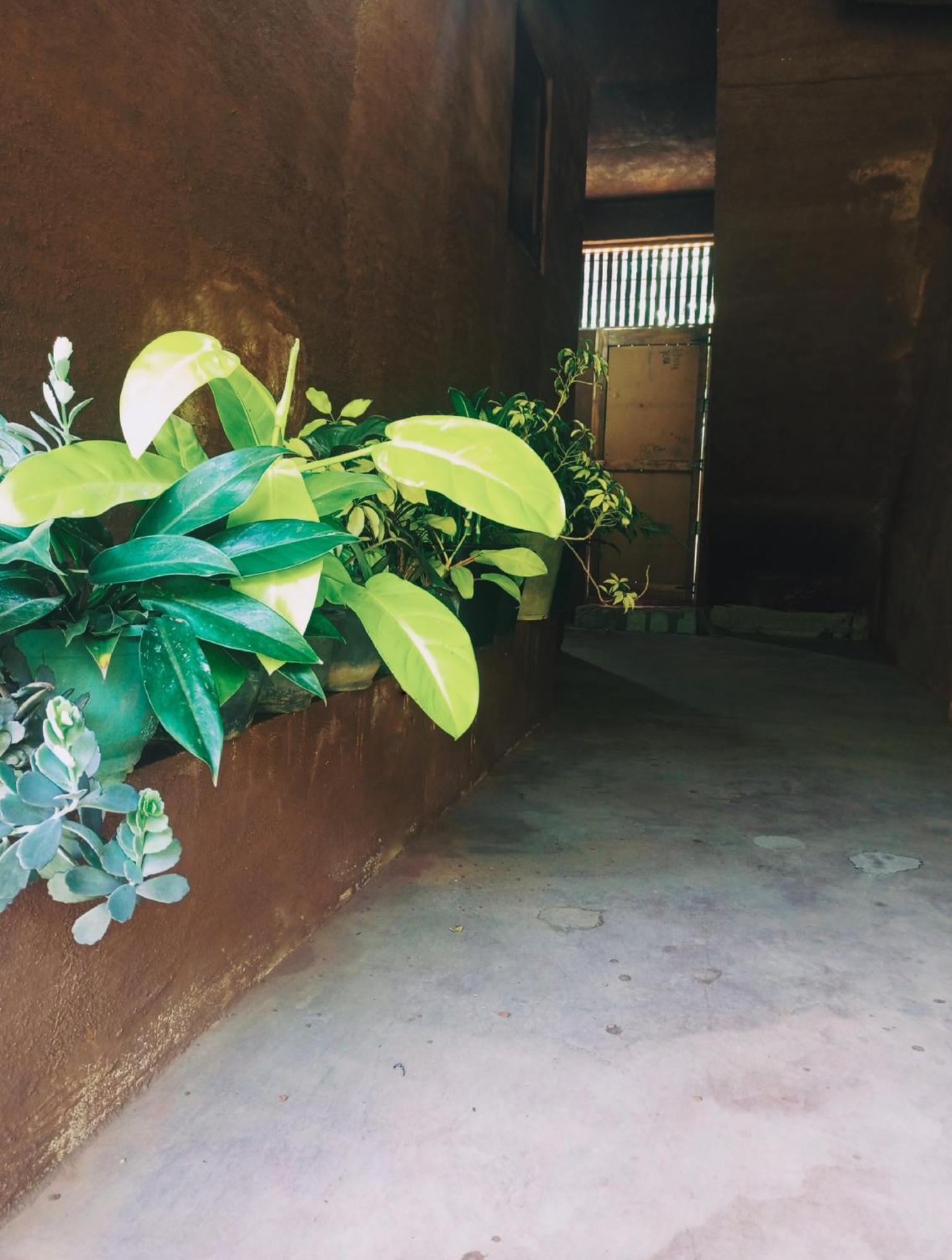 Creek Downhills Bed and Breakfast Ella Εξωτερικό φωτογραφία
